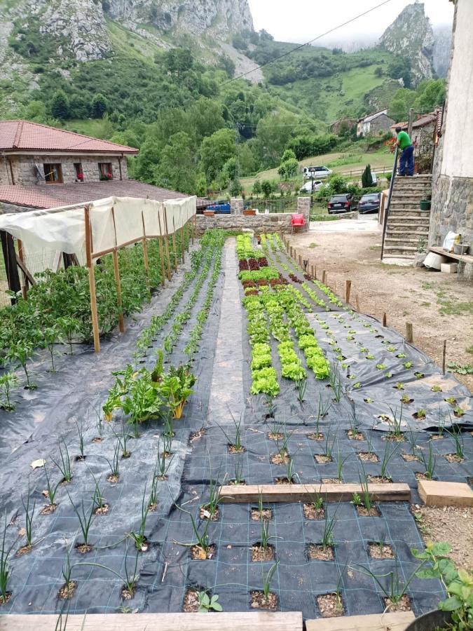 Casa Cuevas 호텔 Caín 외부 사진